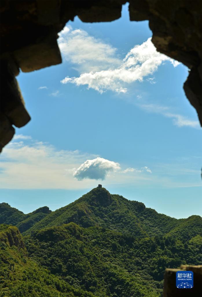 搜狗浏览器